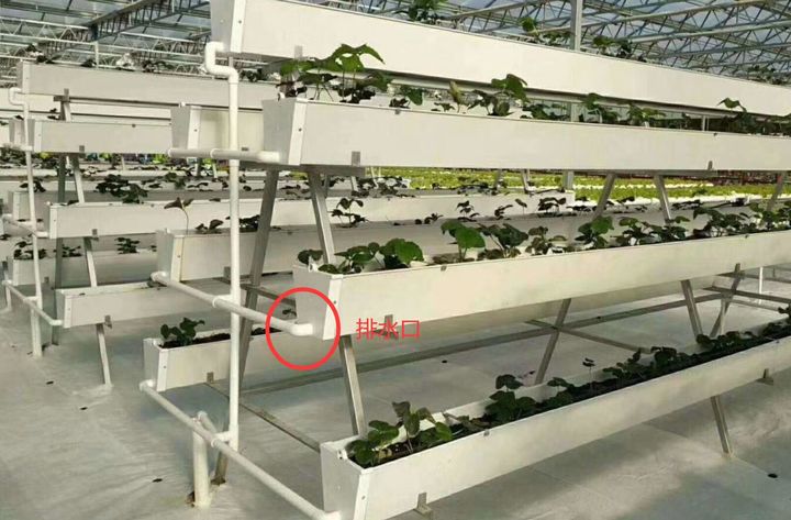 無土栽培椰糠種植排水口設(shè)計.jpg 無土栽培椰糠種植排水口設(shè)計.jpg