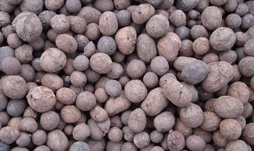 無(wú)土栽培基質(zhì)--陶粒.jpg 無(wú)土栽培基質(zhì)--陶粒.jpg