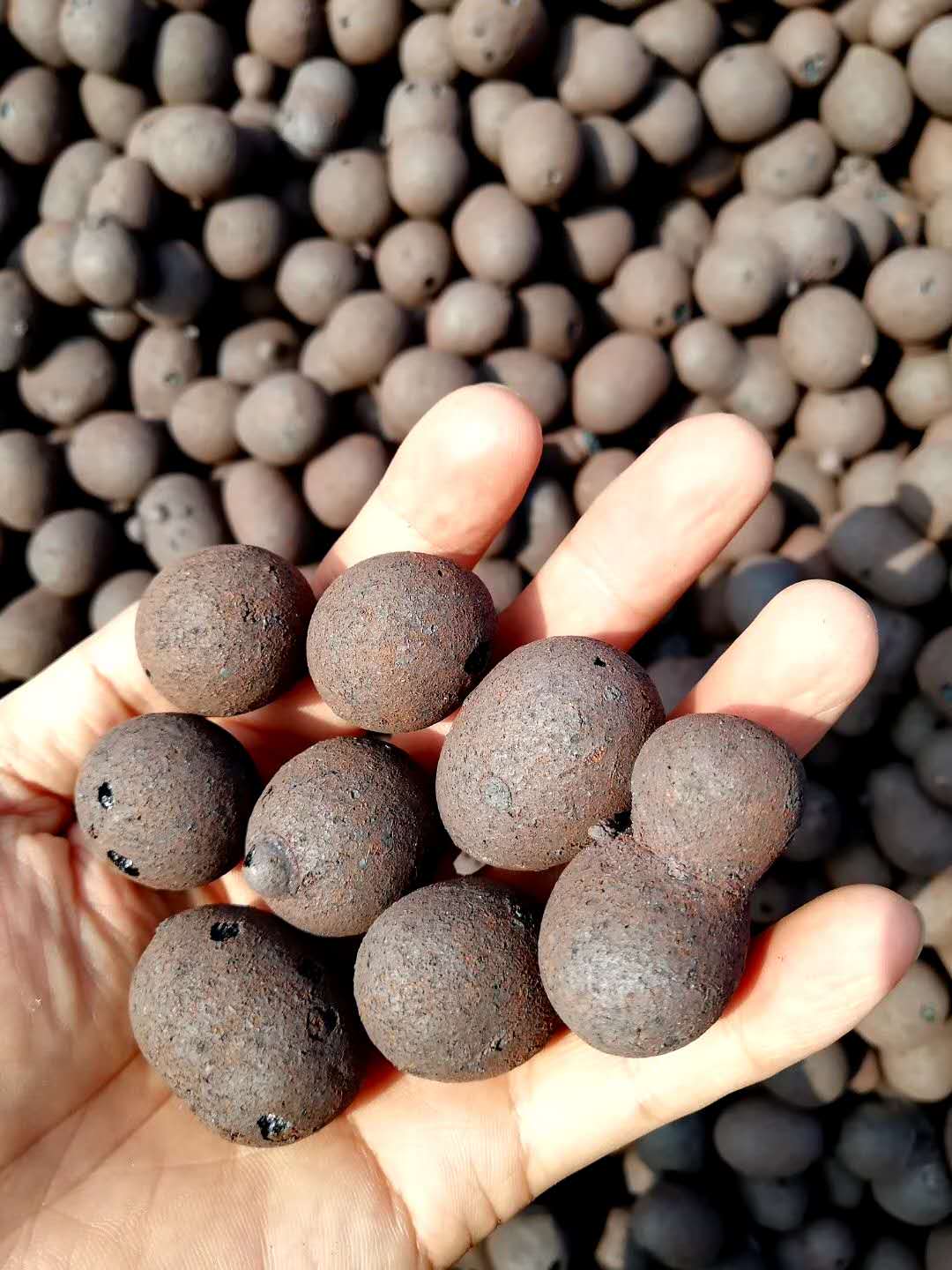 無(wú)土栽培基質(zhì)--陶粒.jpg 無(wú)土栽培基質(zhì)--陶粒.jpg