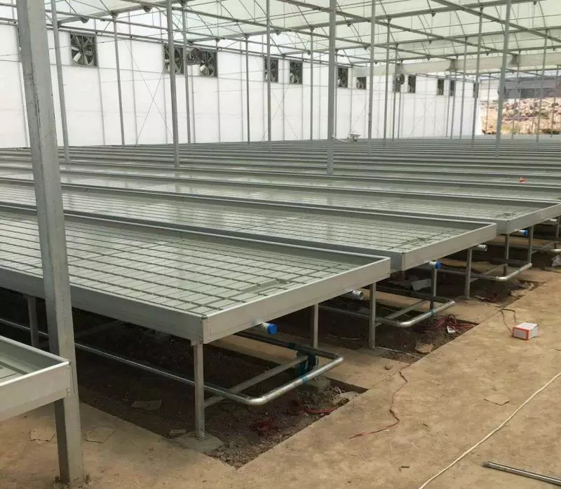 無土栽培育苗床.jpg 無土栽培育苗床.jpg