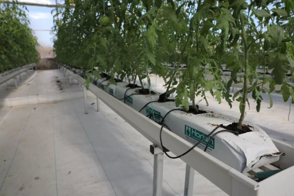 灌溉.jpg 灌溉.jpg