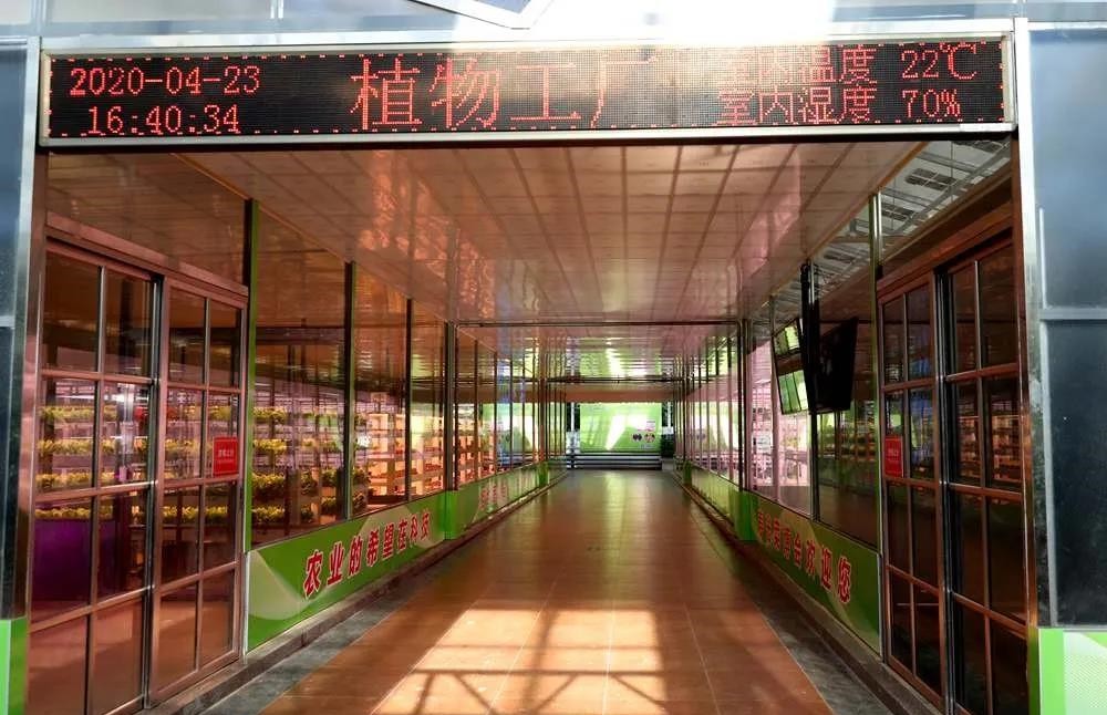 植物工廠.jpg 植物工廠.jpg