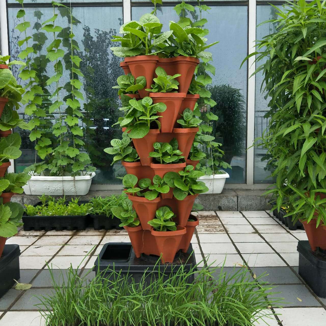 立柱無土栽培.jpg 立柱無土栽培.jpg