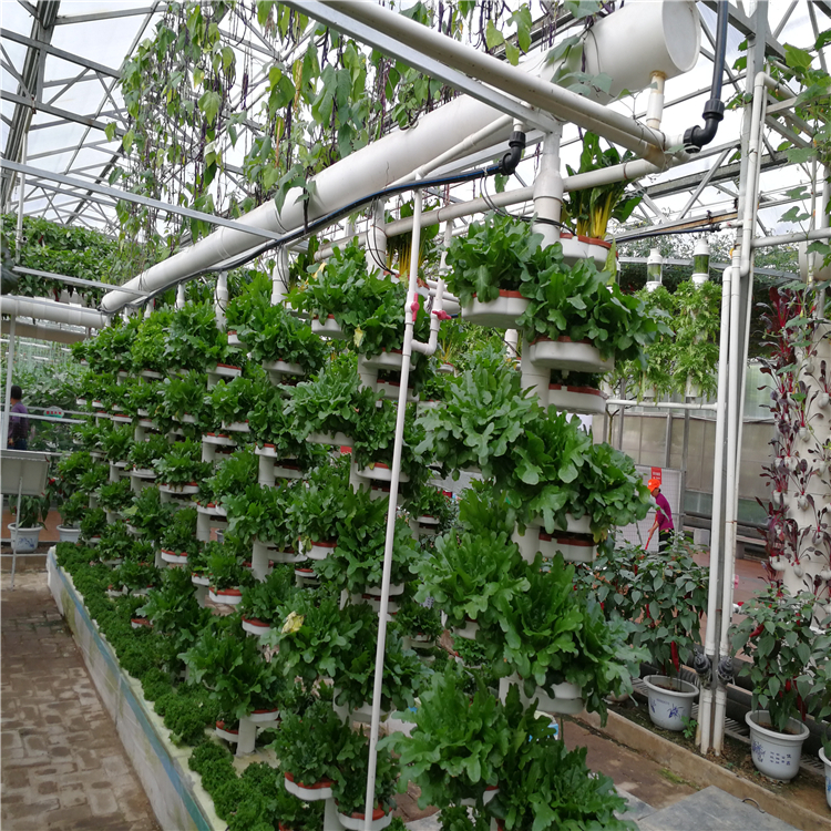 立柱無土栽培 .jpg 立柱無土栽培 .jpg