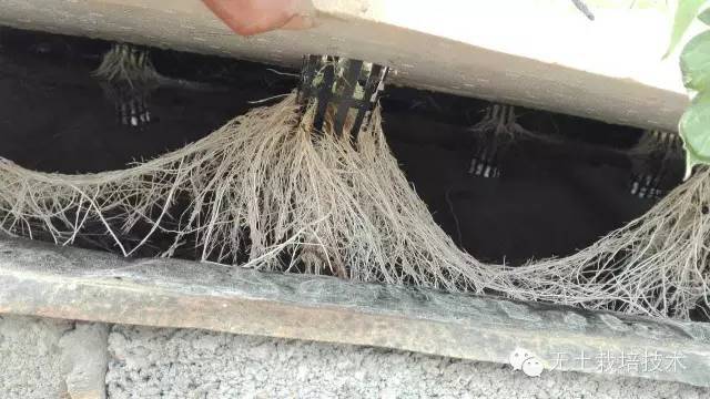 73881d5536174ad2b801b534923f58cd.jpg 73881d5536174ad2b801b534923f58cd.jpg