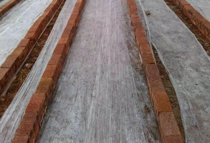 無(wú)土栽培地上式.jpg 無(wú)土栽培地上式.jpg