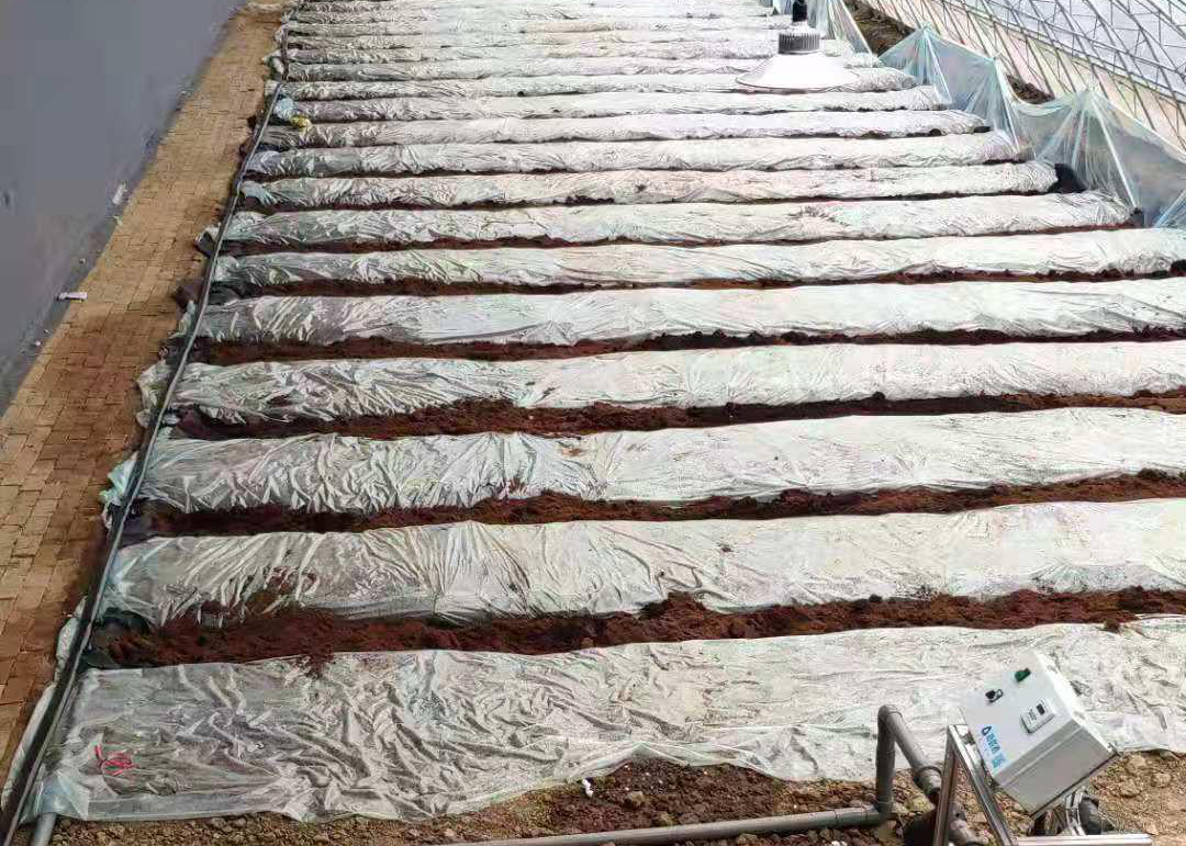 無土栽培槽.png 無土栽培槽.png