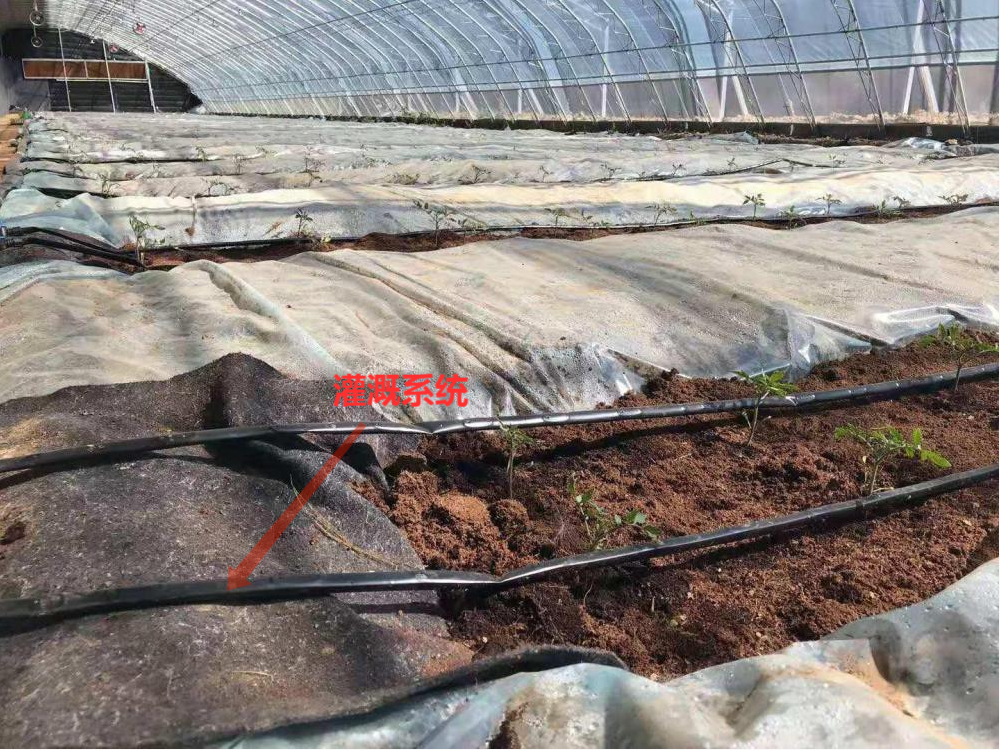 無土栽培灌水設(shè)施.png 無土栽培灌水設(shè)施.png