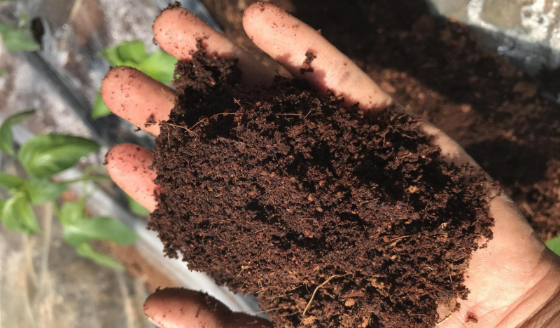 無土栽培基質(zhì).png 無土栽培基質(zhì).png