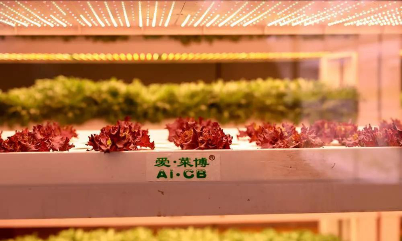 微信圖片_20210505093439.jpg 微信圖片_20210505093439.jpg