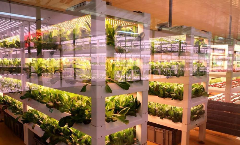 微信圖片_20210505093435.jpg 微信圖片_20210505093435.jpg