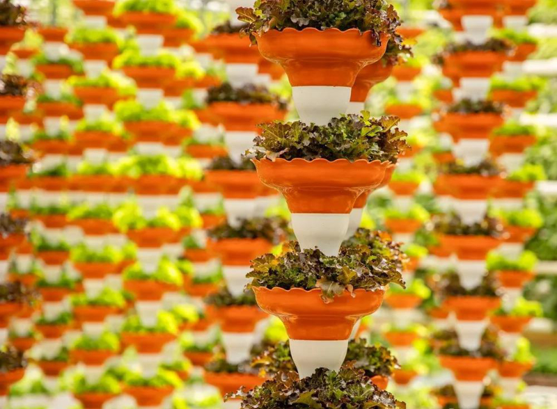 立體垂直無(wú)土栽培.jpg 立體垂直無(wú)土栽培.jpg