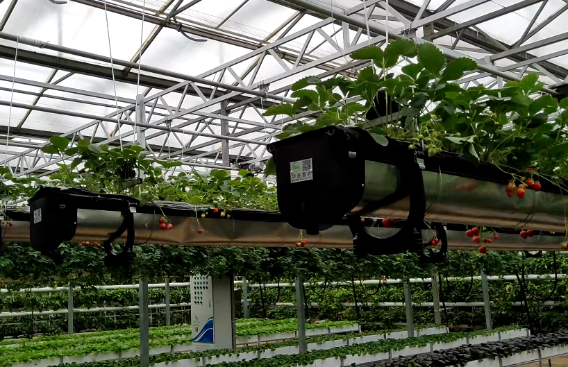 空中立體無土栽培.png 空中立體無土栽培.png