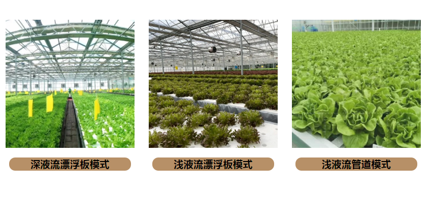 4a6f6a857606d66b6b7548bdb9a725a.png 4a6f6a857606d66b6b7548bdb9a725a.png