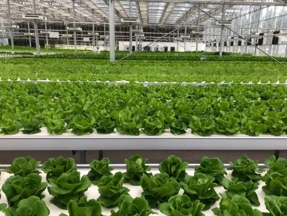 淺液流漂浮板模式.jpg 淺液流漂浮板模式.jpg