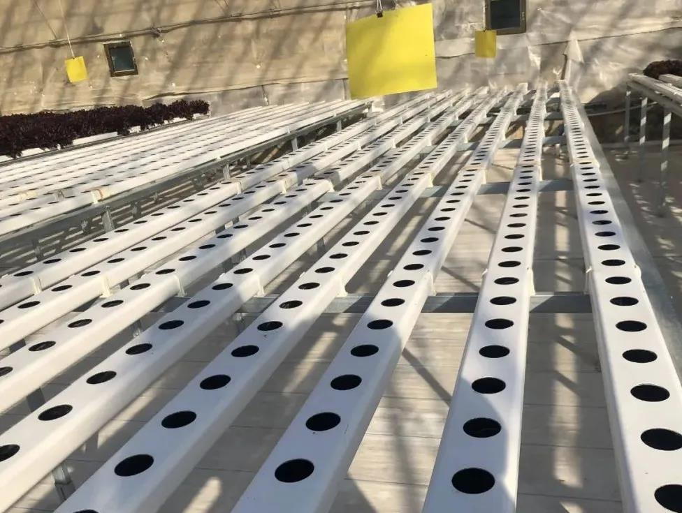 無(wú)土栽培淺液流管道模式.jpg 無(wú)土栽培淺液流管道模式.jpg