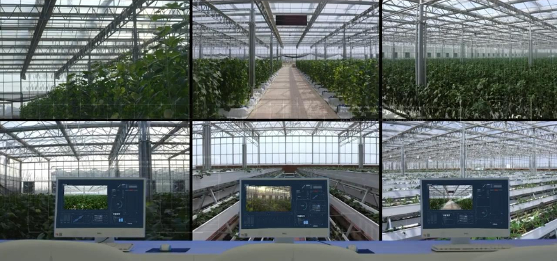 e197e3aaf10b4955a023257aea0f4345.jpg e197e3aaf10b4955a023257aea0f4345.jpg