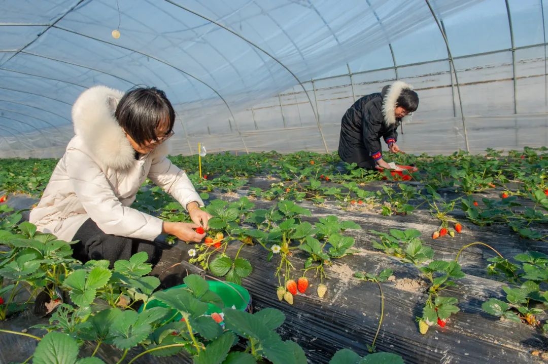 e571a843b1604e30b73622361b37b896.jpg e571a843b1604e30b73622361b37b896.jpg