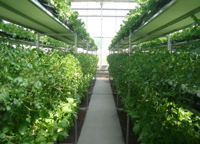 多功能DFT無土栽培水培.png 多功能DFT無土栽培水培.png