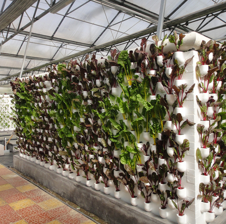 鏈條式墻體栽培.png 鏈條式墻體栽培.png