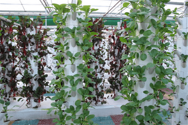 立柱式無土栽培.png 立柱式無土栽培.png