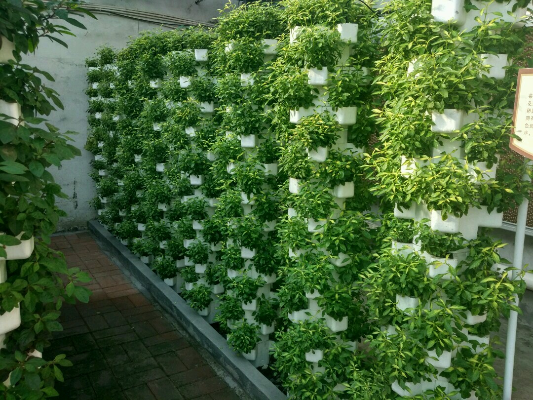 立柱式無土栽培.jpg 立柱式無土栽培.jpg