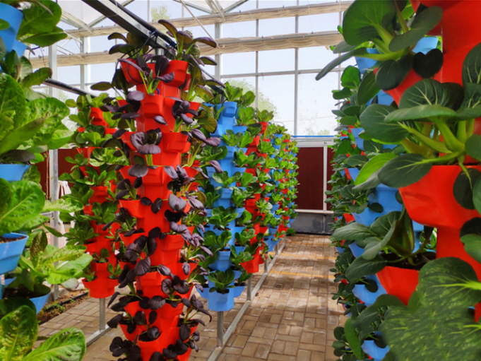 立柱式無土栽培.png 立柱式無土栽培.png