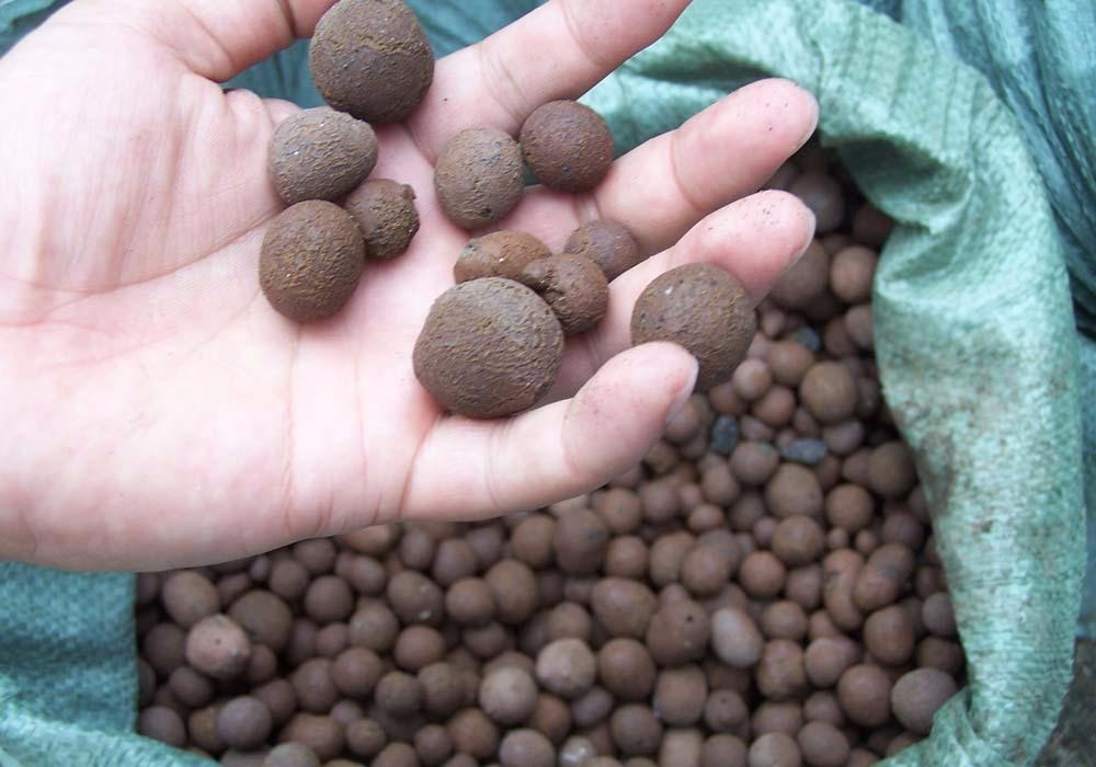 無土栽培基質(zhì)陶粒.jpg 無土栽培基質(zhì)陶粒.jpg