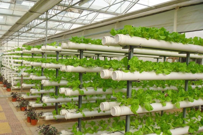 無土栽培立體管道水培.jpg 無土栽培立體管道水培.jpg