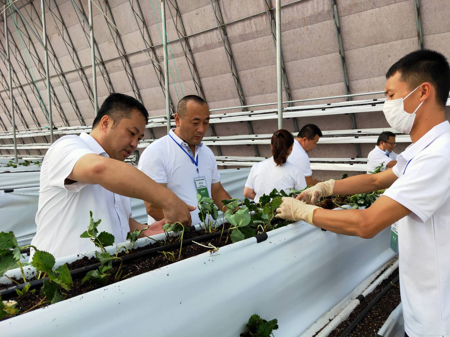 WPS圖片-修改尺寸(2).jpg WPS圖片-修改尺寸(2).jpg