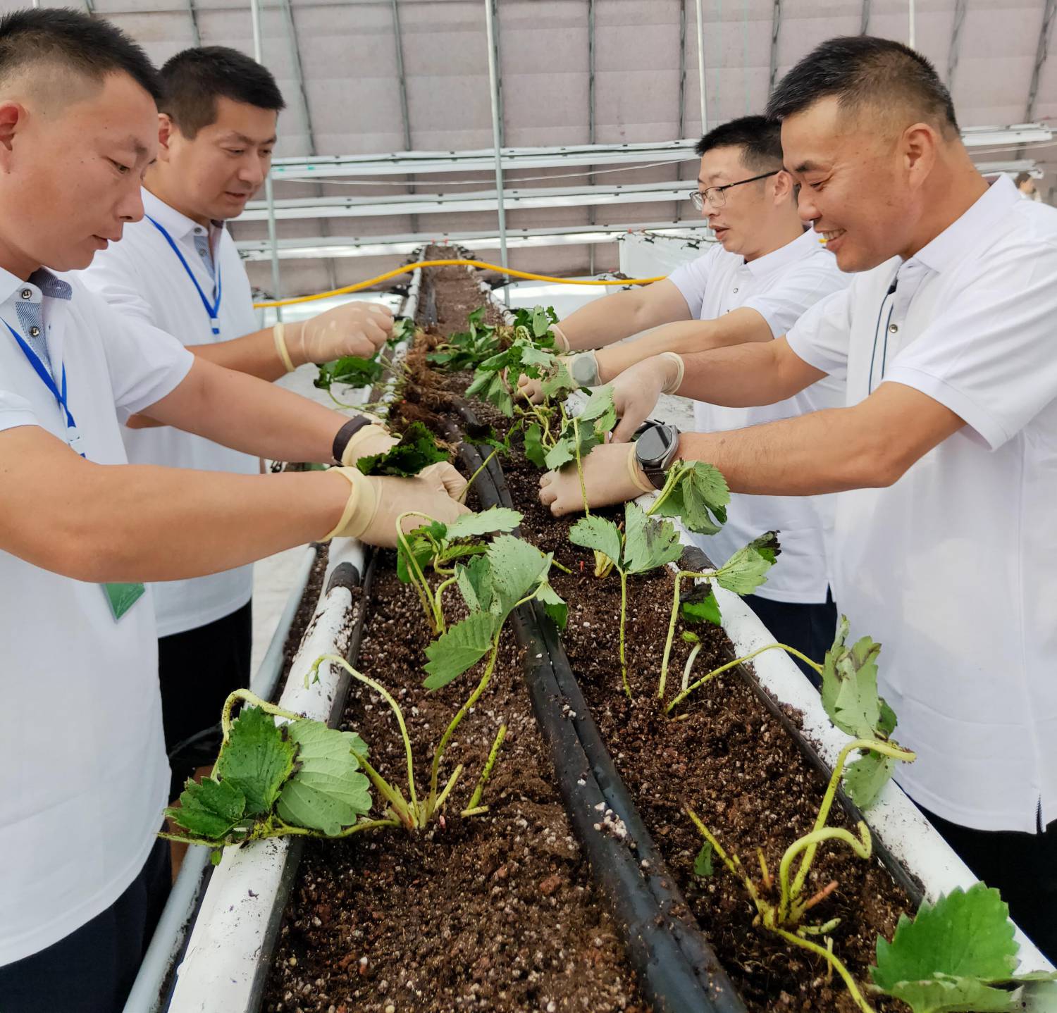 WPS圖片-修改尺寸.jpg WPS圖片-修改尺寸.jpg