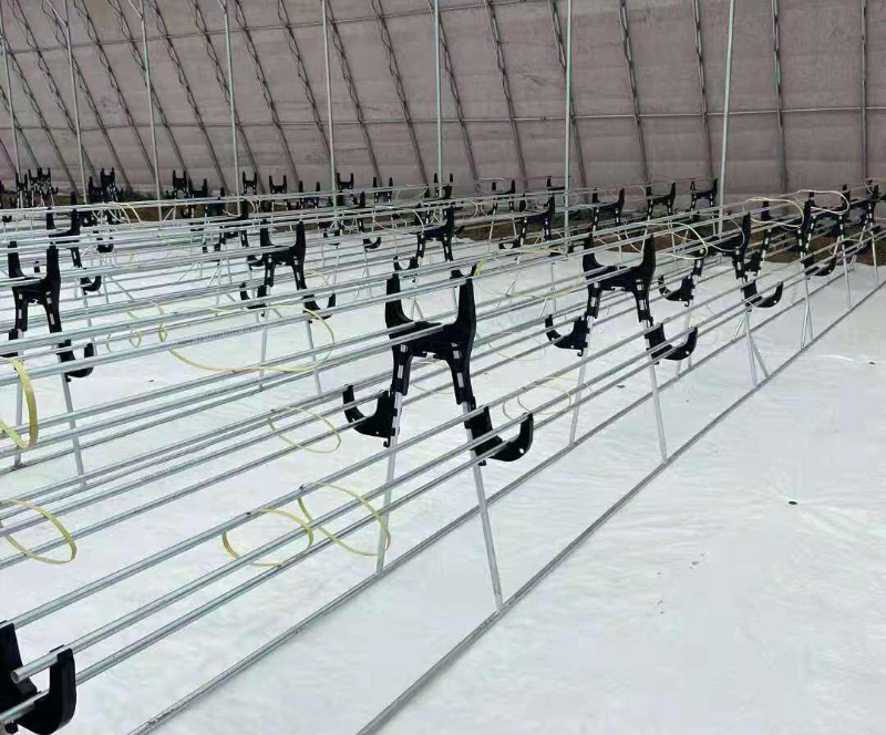 無(wú)土栽培品字型草莓架1.jpg 無(wú)土栽培品字型草莓架1.jpg