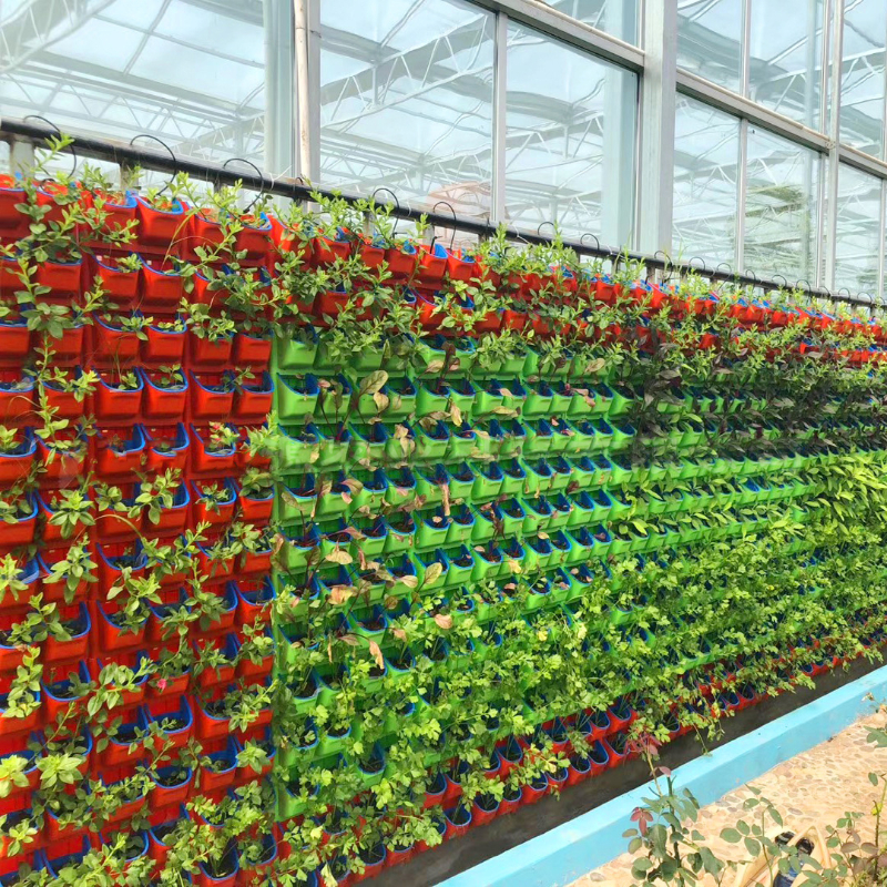 壁掛式無土栽培.jpg 壁掛式無土栽培.jpg