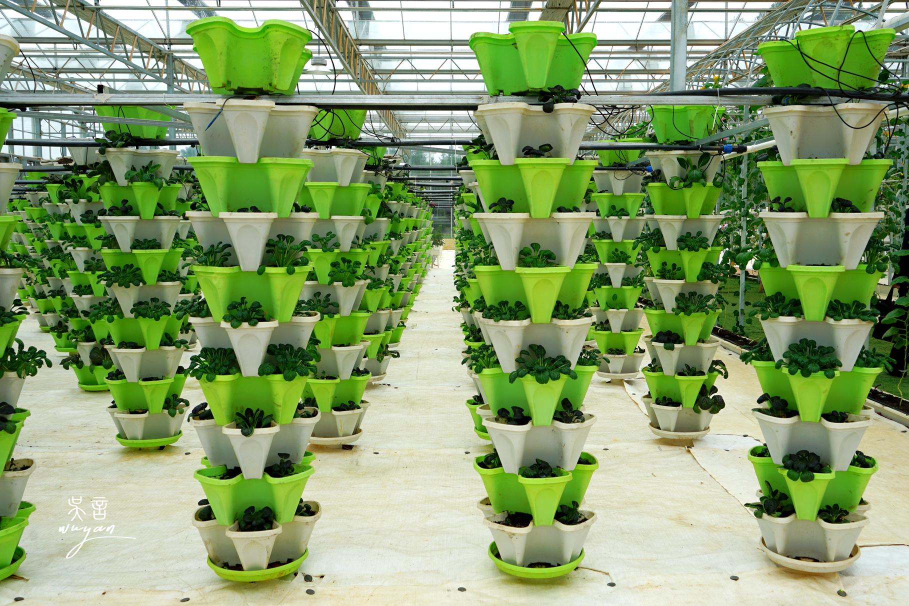 立柱式無土栽培.jpg 立柱式無土栽培.jpg