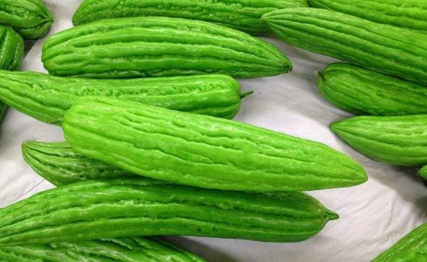 苦瓜.png 苦瓜.png