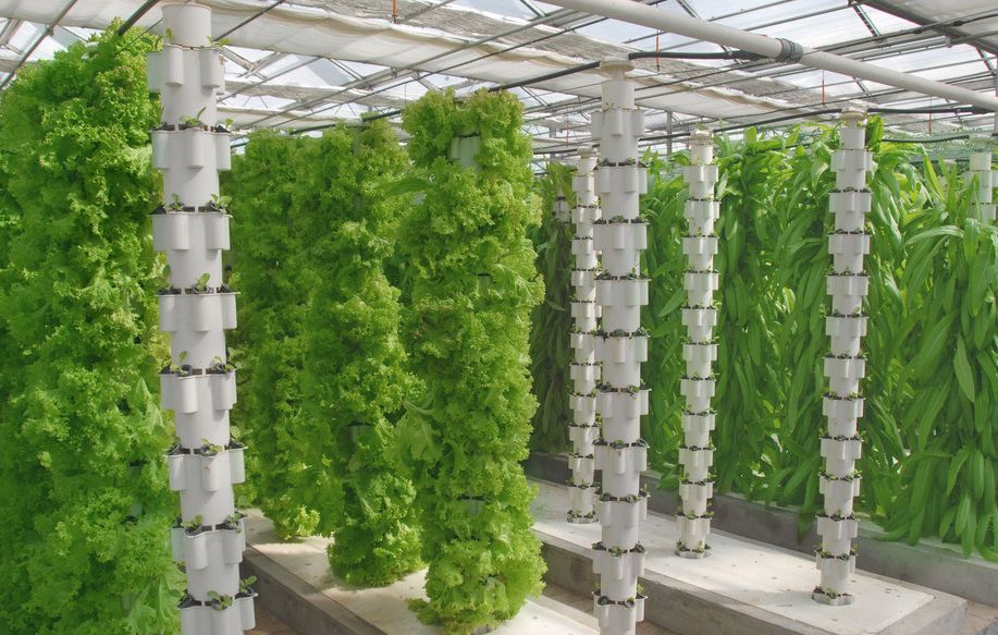 立柱無土栽培.png 立柱無土栽培.png