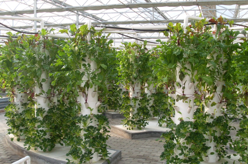 立柱無土栽培.png 立柱無土栽培.png