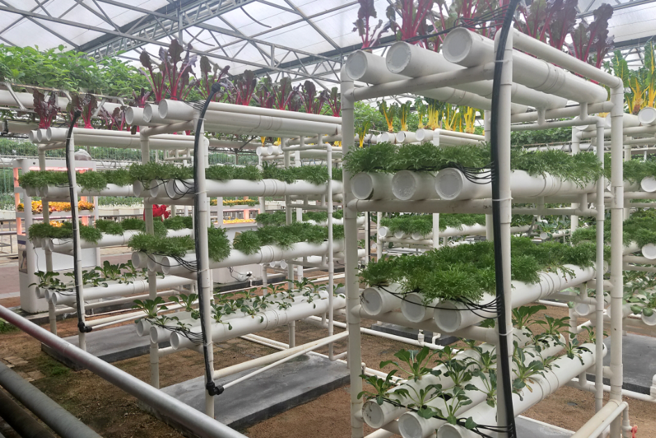 無土栽培.png 無土栽培.png