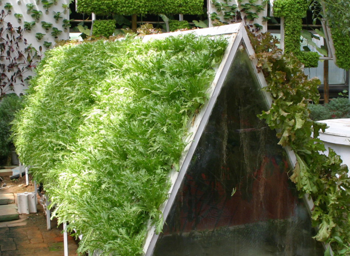 無土栽培 無土栽培