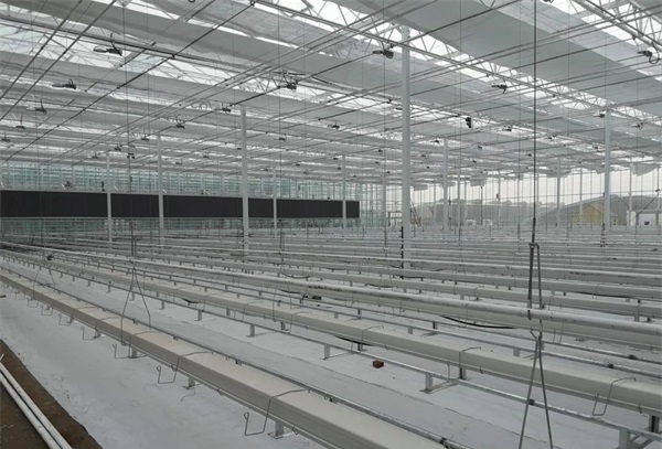 玻璃溫室內(nèi)部 玻璃溫室內(nèi)部