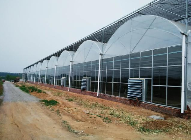 遮陽網(wǎng)覆蓋降溫 遮陽網(wǎng)覆蓋降溫