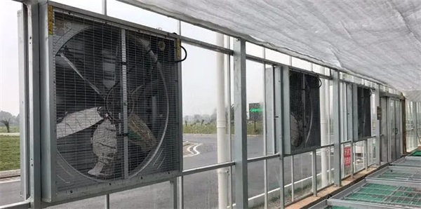 風(fēng)機(jī) 風(fēng)機(jī)