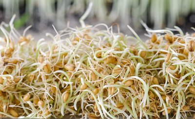 t01f968e25e17c33250.jpg t01f968e25e17c33250.jpg