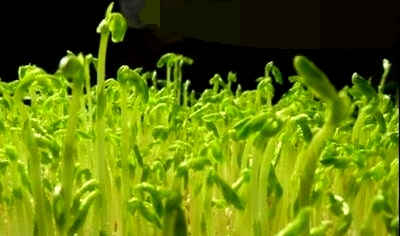 t01387ab8ea803a22a7.jpg t01387ab8ea803a22a7.jpg