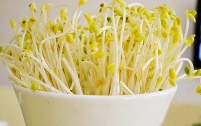 t012c3c4bd6b230b130.jpg t012c3c4bd6b230b130.jpg