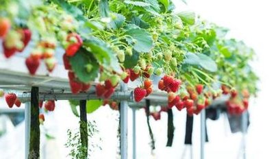 t0194fca74753ef64f7.jpg t0194fca74753ef64f7.jpg