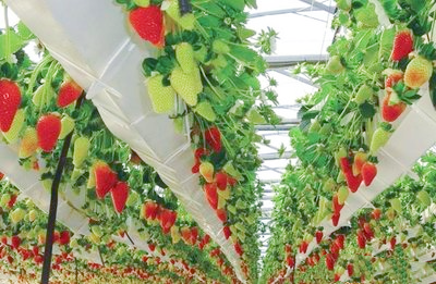 t01b694de413932fa09.png t01b694de413932fa09.png