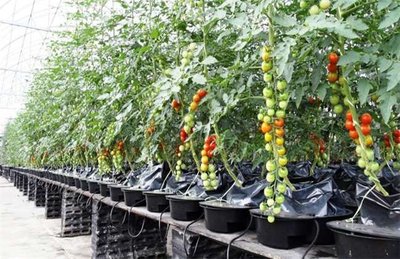 t0174e9c4acef677374.jpg t0174e9c4acef677374.jpg