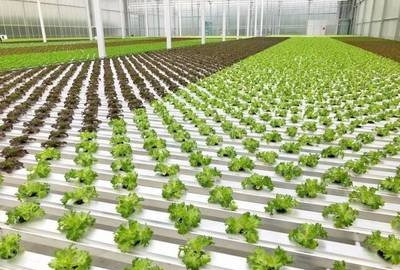 t01cea6c81854f5e343.png t01cea6c81854f5e343.png