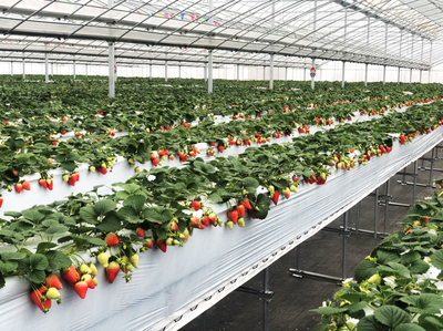 t017d1a009643c0f7f5.png t017d1a009643c0f7f5.png